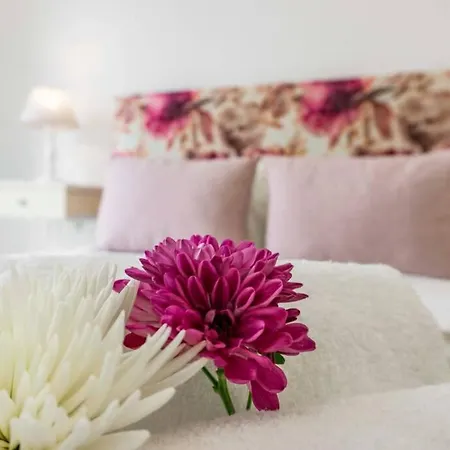 Lalitana Center Appartement *